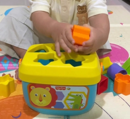 Fisher-Price First Blocks photo
